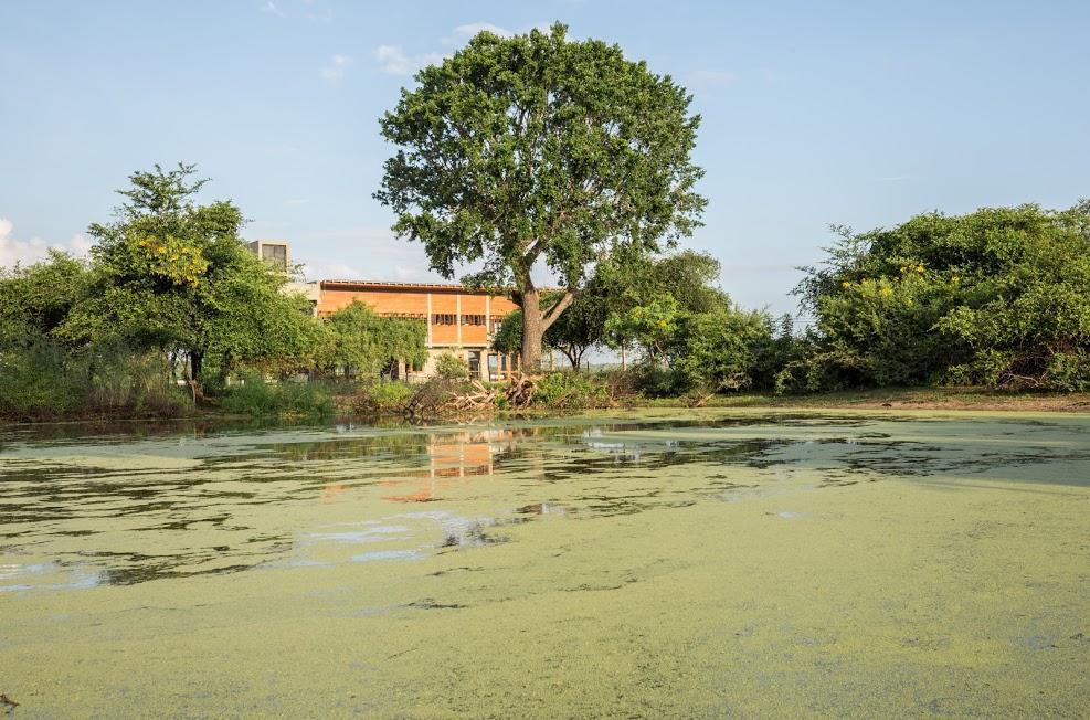 Tree Tops Yala Exterior photo